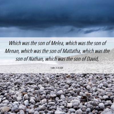 Picture 06 - Luke 3:31 KJV - Which was the son of Melea, which was the son of - Bible Verse Picture