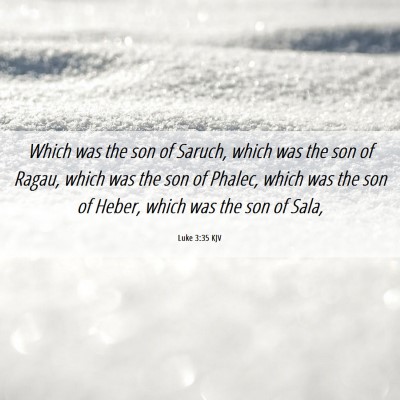 Picture 06 - Luke 3:35 KJV - Which was the son of Saruch, which was the son of - Bible Verse Picture