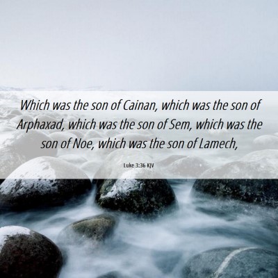 Picture 06 - Luke 3:36 KJV - Which was the son of Cainan, which was the son of - Bible Verse Picture