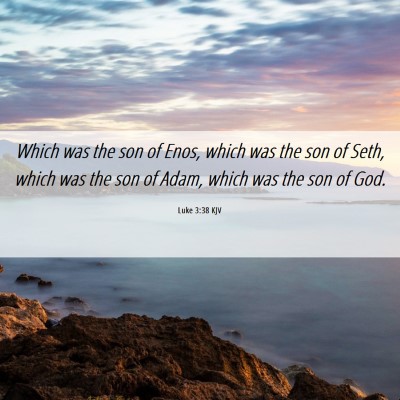Picture 06 - Luke 3:38 KJV - Which was the son of Enos, which was the son of - Bible Verse Picture