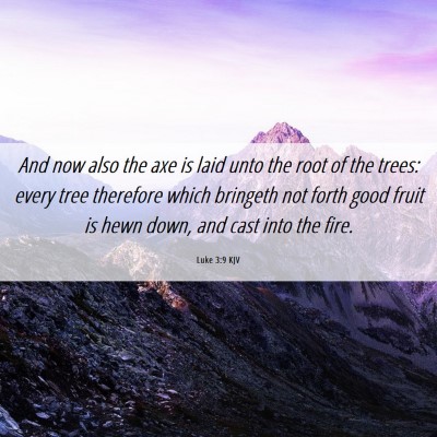 Picture 06 - Luke 3:9 KJV - And now also the axe is laid unto the root of the - Bible Verse Picture