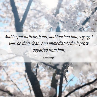 Picture 06 - Luke 5:13 KJV - And he put forth his hand, and touched him, - Bible Verse Picture