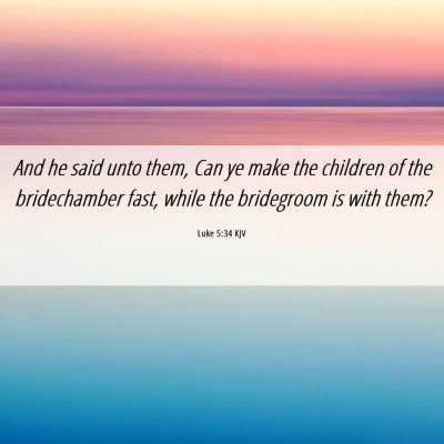 Picture 06 - Luke 5:34 KJV - And he said unto them, Can ye make the children - Bible Verse Picture