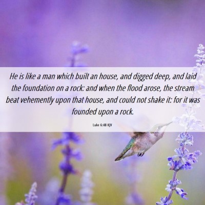 Picture 06 - Luke 6:48 KJV - He is like a man which built an house, and digged - Bible Verse Picture