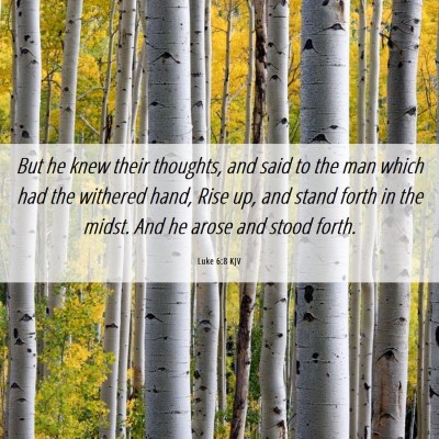 Picture 06 - Luke 6:8 KJV - But he knew their thoughts, and said to the man - Bible Verse Picture