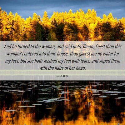 Picture 06 - Luke 7:44 KJV - And he turned to the woman, and said unto Simon, - Bible Verse Picture