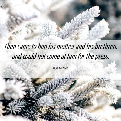 Picture 06 - Luke 8:19 KJV - Then came to him his mother and his brethren, and - Bible Verse Picture