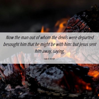 Picture 06 - Luke 8:38 KJV - Now the man out of whom the devils were departed - Bible Verse Picture