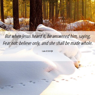 Picture 06 - Luke 8:50 KJV - But when Jesus heard it, he answered him, saying, - Bible Verse Picture