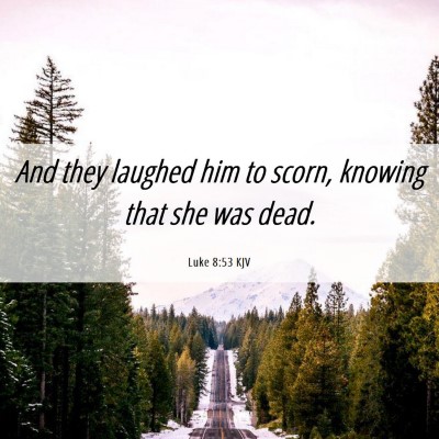 Picture 06 - Luke 8:53 KJV - And they laughed him to scorn, knowing that she - Bible Verse Picture