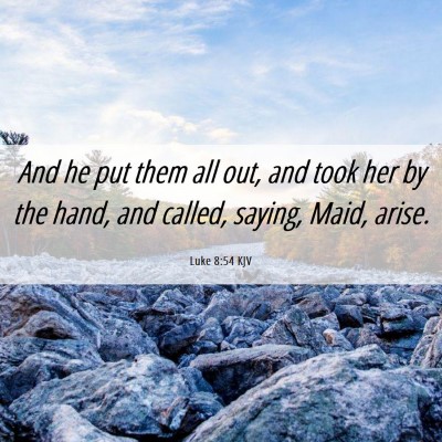 Picture 06 - Luke 8:54 KJV - And he put them all out, and took her by the - Bible Verse Picture