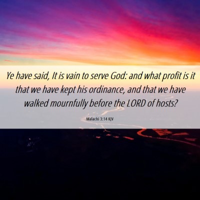 Picture 06 - Malachi 3:14 KJV - Ye have said, It is vain to serve God: and what - Bible Verse Picture