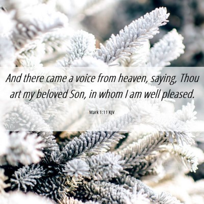 Picture 06 - Mark 1:11 KJV - And there came a voice from heaven, saying, Thou - Bible Verse Picture