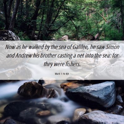 Picture 06 - Mark 1:16 KJV - Now as he walked by the sea of Galilee, he saw - Bible Verse Picture