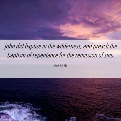 Picture 06 - Mark 1:4 KJV - John did baptize in the wilderness, and preach - Bible Verse Picture