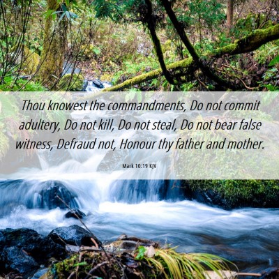 Picture 06 - Mark 10:19 KJV - Thou knowest the commandments, Do not commit - Bible Verse Picture