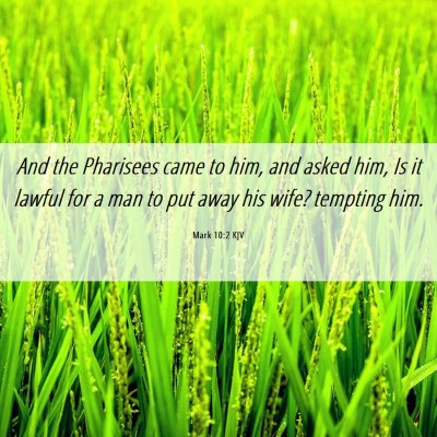 Picture 06 - Mark 10:2 KJV - And the Pharisees came to him, and asked him, Is - Bible Verse Picture