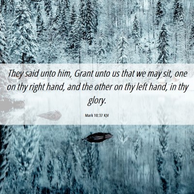 Picture 06 - Mark 10:37 KJV - They said unto him, Grant unto us that we may - Bible Verse Picture
