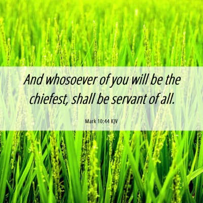 Picture 06 - Mark 10:44 KJV - And whosoever of you will be the chiefest, shall - Bible Verse Picture