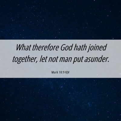 Picture 06 - Mark 10:9 KJV - What therefore God hath joined together, let not - Bible Verse Picture