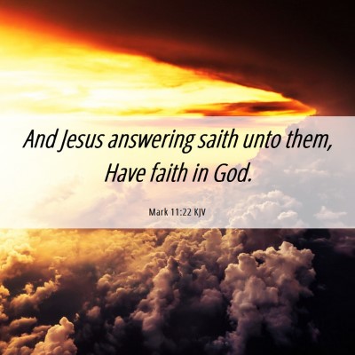 Picture 06 - Mark 11:22 KJV - And Jesus answering saith unto them, Have faith - Bible Verse Picture