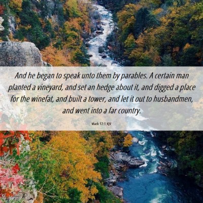 Picture 06 - Mark 12:1 KJV - And he began to speak unto them by parables. A - Bible Verse Picture