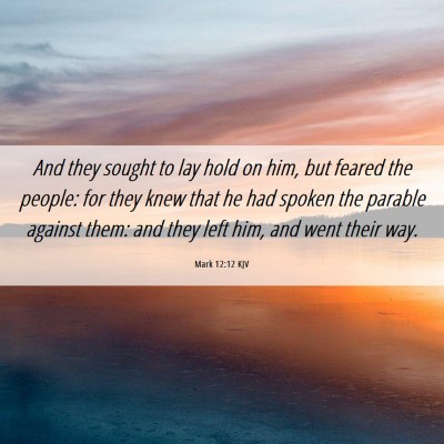 Picture 06 - Mark 12:12 KJV - And they sought to lay hold on him, but feared - Bible Verse Picture