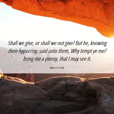 Picture 06 - Mark 12:15 KJV - Shall we give, or shall we not give? But he, - Bible Verse Picture