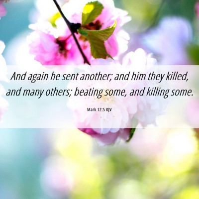 Picture 06 - Mark 12:5 KJV - And again he sent another; and him they killed, - Bible Verse Picture