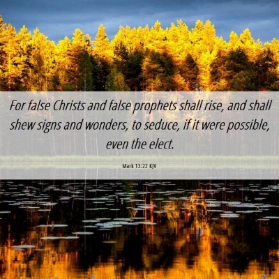 Picture 06 - Mark 13:22 KJV - For false Christs and false prophets shall rise, - Bible Verse Picture