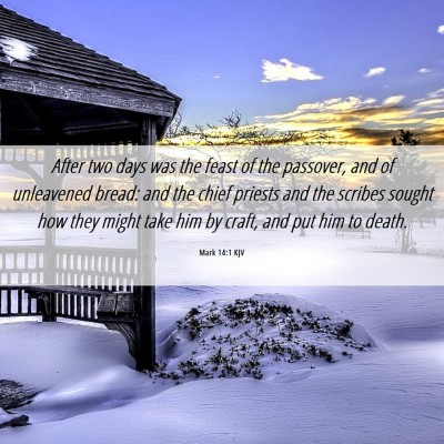 Picture 06 - Mark 14:1 KJV - After two days was the feast of the passover, and - Bible Verse Picture