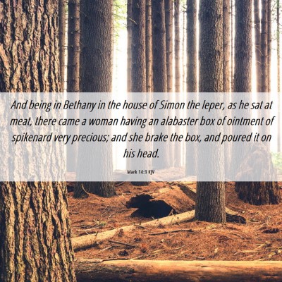 Picture 06 - Mark 14:3 KJV - And being in Bethany in the house of Simon the - Bible Verse Picture