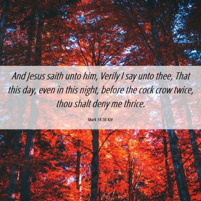Picture 06 - Mark 14:30 KJV - And Jesus saith unto him, Verily I say unto thee, - Bible Verse Picture