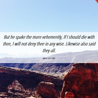 Picture 06 - Mark 14:31 KJV - But he spake the more vehemently, If I should die - Bible Verse Picture