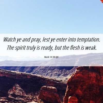 Picture 06 - Mark 14:38 KJV - Watch ye and pray, lest ye enter into temptation. - Bible Verse Picture