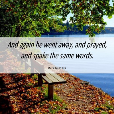Picture 06 - Mark 14:39 KJV - And again he went away, and prayed, and spake the - Bible Verse Picture