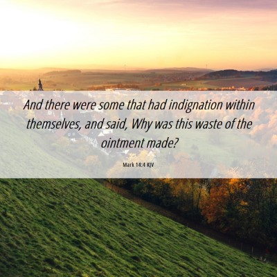 Picture 06 - Mark 14:4 KJV - And there were some that had indignation within - Bible Verse Picture