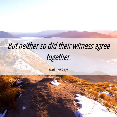Picture 06 - Mark 14:59 KJV - But neither so did their witness agree - Bible Verse Picture