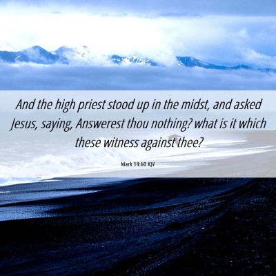 Picture 06 - Mark 14:60 KJV - And the high priest stood up in the midst, and - Bible Verse Picture