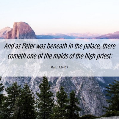 Picture 06 - Mark 14:66 KJV - And as Peter was beneath in the palace, there - Bible Verse Picture