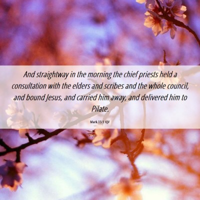 Picture 06 - Mark 15:1 KJV - And straightway in the morning the chief priests - Bible Verse Picture