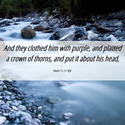 Picture 06 - Mark 15:17 KJV - And they clothed him with purple, and platted a - Bible Verse Picture