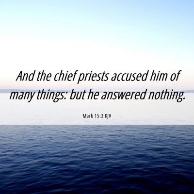 Picture 06 - Mark 15:3 KJV - And the chief priests accused him of many things: - Bible Verse Picture
