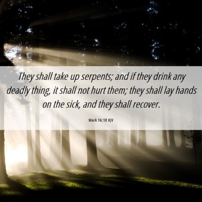 Picture 06 - Mark 16:18 KJV - They shall take up serpents; and if they drink - Bible Verse Picture