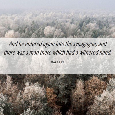 Picture 06 - Mark 3:1 KJV - And he entered again into the synagogue; and - Bible Verse Picture