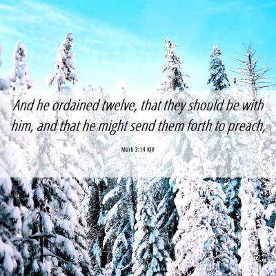 Picture 06 - Mark 3:14 KJV - And he ordained twelve, that they should be with - Bible Verse Picture