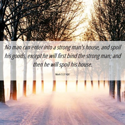 Picture 06 - Mark 3:27 KJV - No man can enter into a strong man's house, and - Bible Verse Picture