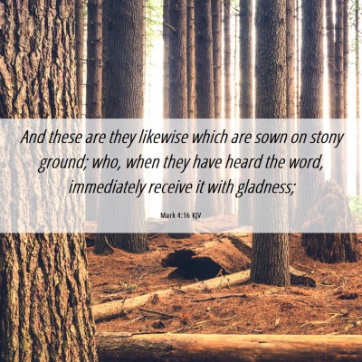 Picture 06 - Mark 4:16 KJV - And these are they likewise which are sown on - Bible Verse Picture
