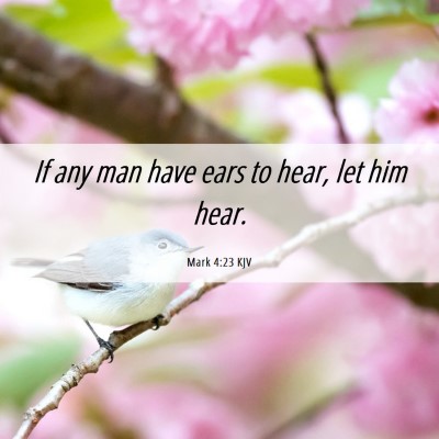 Picture 06 - Mark 4:23 KJV - If any man have ears to hear, let him - Bible Verse Picture
