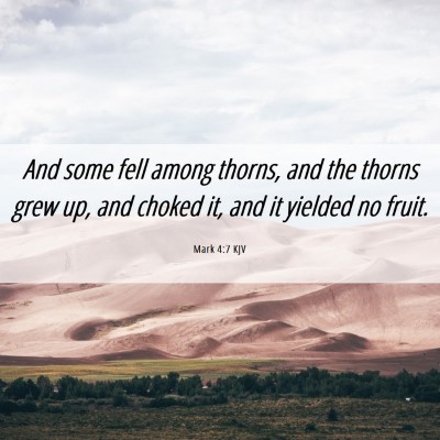 Picture 06 - Mark 4:7 KJV - And some fell among thorns, and the thorns grew - Bible Verse Picture
